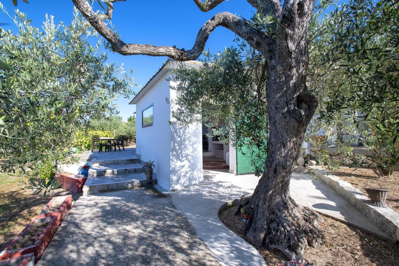 Casa Rina Sassari Exterior foto